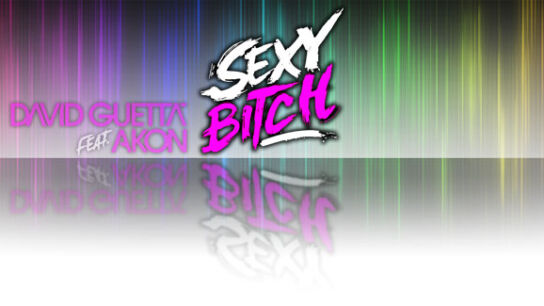Neue Single: David Guetta feat. Akon – sexy Bitch