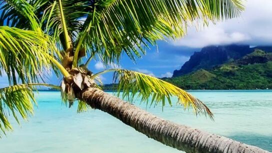 Urlaubsflirting mal anders: Bora Bora