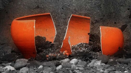 Broken Flower Pot