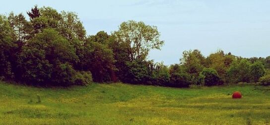 Vorschau: Klare Gedanken auf des ewigen Nebels Irrwegen