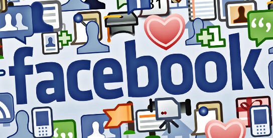 “The Winner Takes It All” – Facebook VS Lokalisten, studiVZ, Myspace, XING …