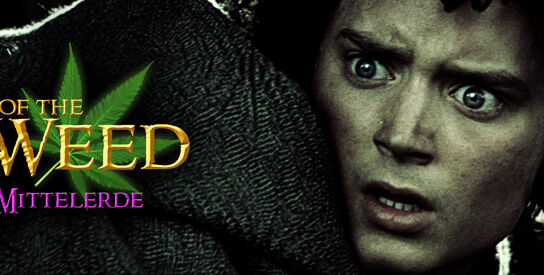 Lord of the Weed – kompletter Text & Zitate zur Parodie