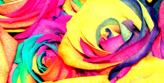 Schmetterlingstage: Feel The Love ♥
