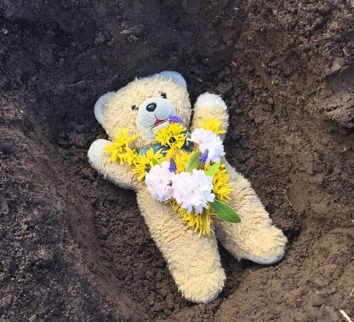 Adieu, Teddy - du wirst auf ewig in seines Herzen Innerem weilen.