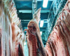 Wie viele Tiere werden weltweit pro Jahr geschlachtet?