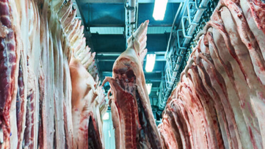Wie viele Tiere werden weltweit pro Jahr geschlachtet?