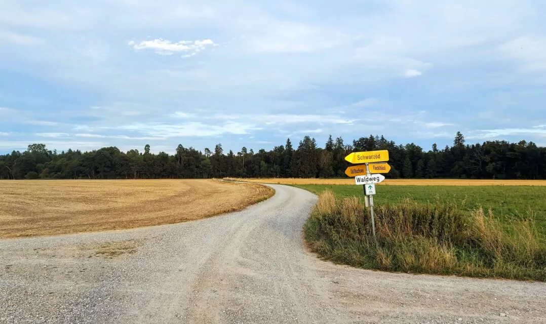 Snapshot of my visit to Germany. Or: a wasteland in its purest form. This photo shows a crossroad with a crooked sign pointing to trivial hamlets like 