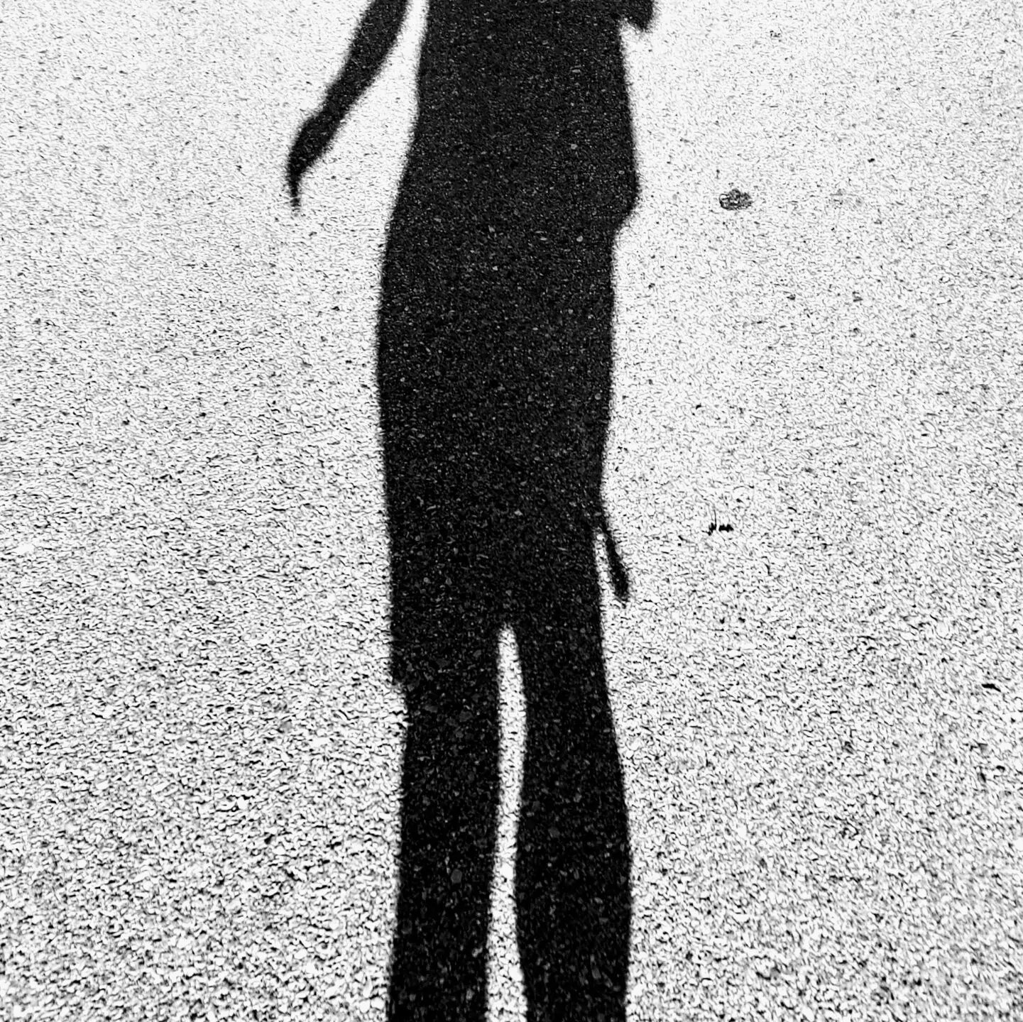 The long shadows cast by my brazen body on a hot asphalt road on a typical German summer day. Not great, not terrible.