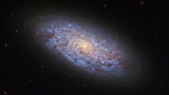 Massive numbers: putting the mass of the observable universe into perspective