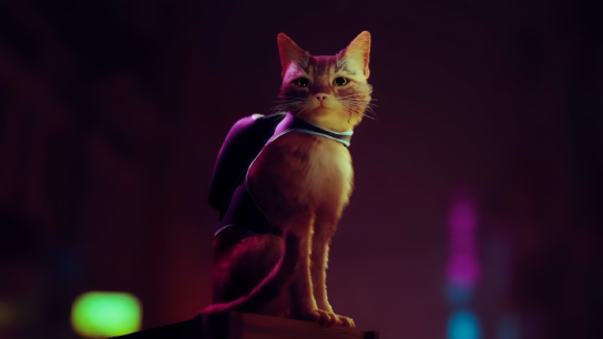 From heartwarming moments to tearful goodbyes: The enigmatic cyberpunk world of Stray