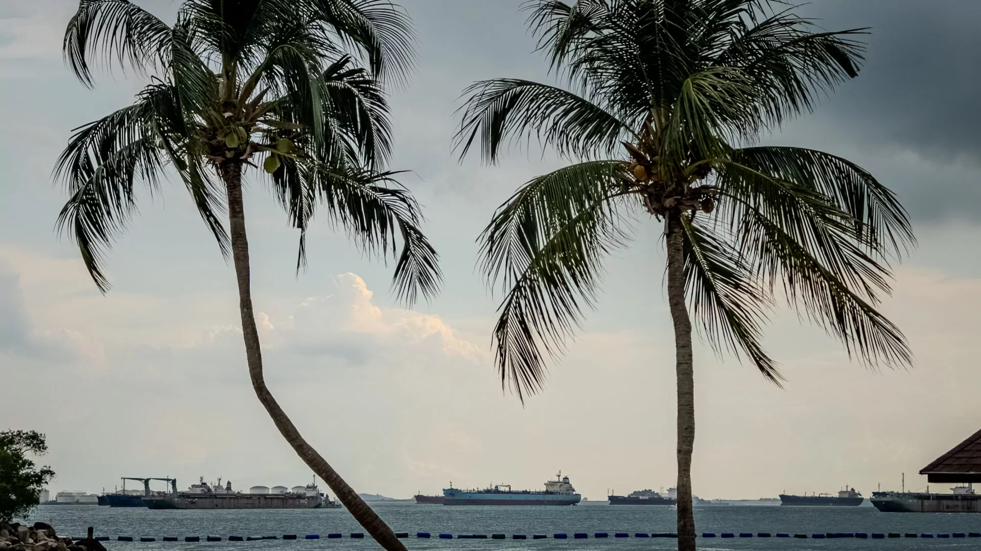 An almost empty, sandy beach with palm trees and the bustling Singapore Strait on the horizon, complete with vessels and oil terminals.